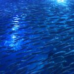 w1200 – 2025-09-23T174024.449