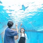 w1200 – 2025-09-23T174026.490