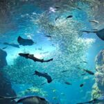 w1200 – 2025-09-24T150216.401