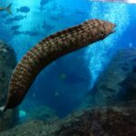 w1200 – 2025-09-24T150302.150