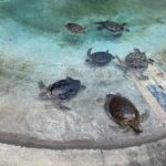 w1200 – 2025-09-24T150338.240