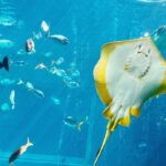 w1200 – 2025-09-24T150426.110