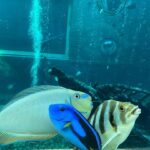 w1200 – 2025-09-24T150501.629