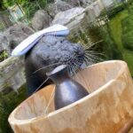 w1200 – 2025-09-24T150802.271