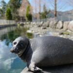 w1200 – 2025-09-24T150807.355