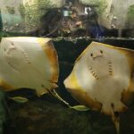 w1200 – 2025-09-24T150819.274