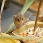 w1200 – 2025-09-24T150823.105