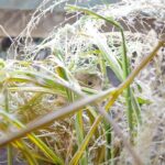 w1200 – 2025-09-24T150826.218