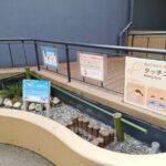 w1200 – 2025-09-24T150829.631