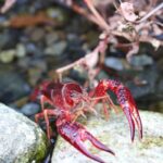 w1200 – 2025-09-24T150832.528