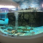 w1200 – 2025-09-24T151131.325