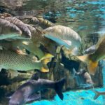 w1200 – 2025-09-24T151134.021