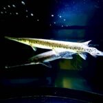 w1200 – 2025-09-24T151136.556