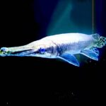 w1200 – 2025-09-24T151139.292