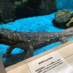 w1200 – 2025-09-24T151142.014