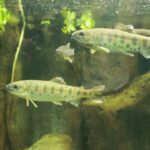 w1200 – 2025-09-24T151149.875