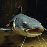 w1200 – 2025-09-24T151152.177