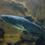 w1200 – 2025-09-24T151154.561