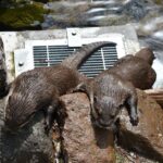 w1200 – 2025-09-24T151157.525