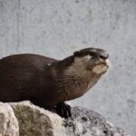 w1200 – 2025-09-24T151200.467