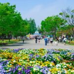 w1200 – 2025-09-24T151203.240