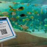 w1200 – 2025-09-24T151211.241