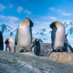 w1200 – 2025-09-24T151214.417