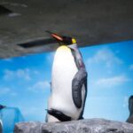 w1200 – 2025-09-24T151217.038