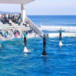 w1200 – 2025-09-24T151219.830