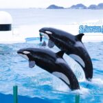 w1200 – 2025-09-24T151222.357