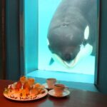 w1200 – 2025-09-24T151225.160