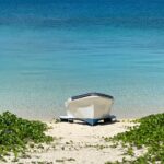 70190-3-e016f17ae481d2af20bb37e2770bb1e3-3900×2925