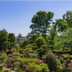 d89782-3-fbd1939d664b9f4ce830-24 (1)