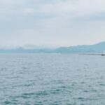 92686-1-410462e1ffbbbcdf55a78f46604cd2d6-2000×1333 (1)