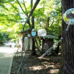 sectionImage_1_1_20240605094942156 (1)