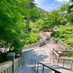 sectionImage_10_1_20240608192310544