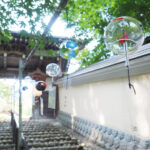 sectionImage_2_1_20240605091806807