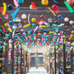 sectionImage_6_1_20240608004927787