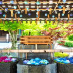 sectionImage_9_1_20240605101203423