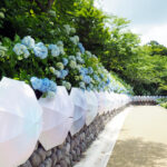 sectionImage_9_1_20240608082157924