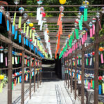 sectionImage_9_2_20240608082158935