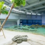 Kiji Web 1280 X 852 (5)