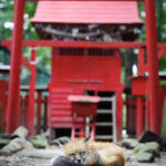 20160824_165435_foxinfonet