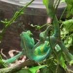 326075364_1096543915076500_406157692184243318_n