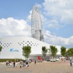 57502882_2259157857504679_7975766620997943296_n