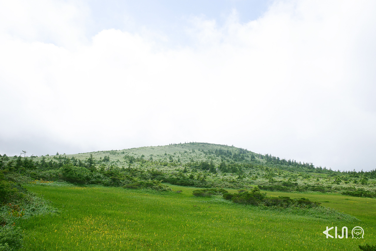 จังหวัดอาโอโมริ