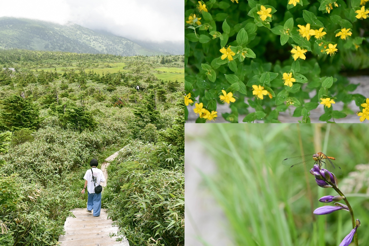 จังหวัดอาโอโมริ