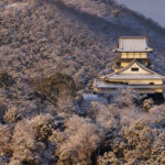 09af9f17203f21ab910badb219298466