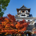 3a7ff9a458a1598ae4c097a2f6c527e4