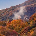 9d37a041ebd6f4dbe7615f737335a7c9